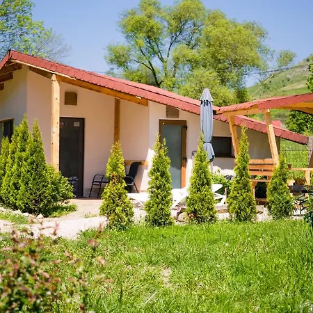 Studiouri Valisoara Exterior photo
