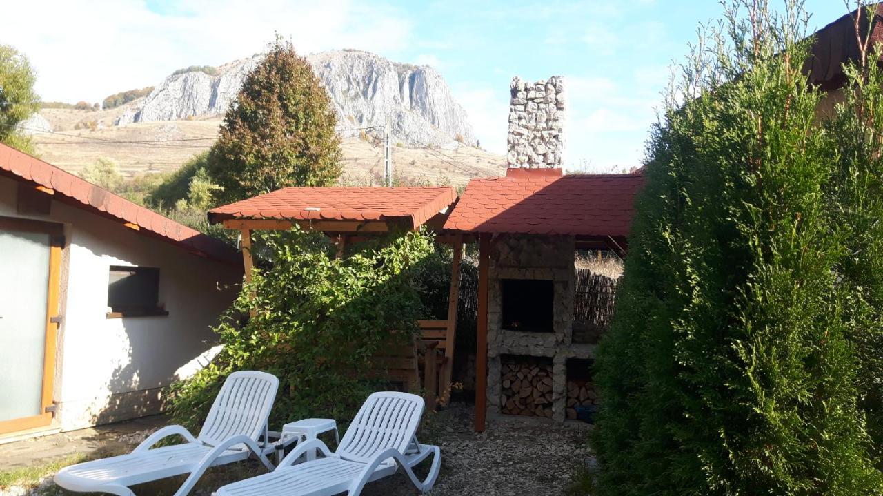 Studiouri *