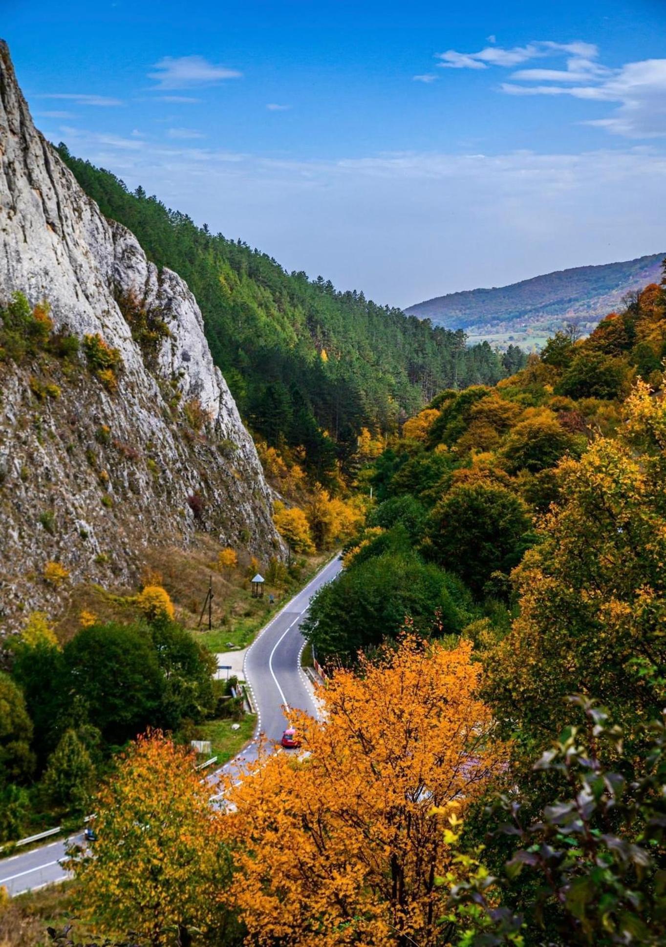 Studiouri Vălişoara