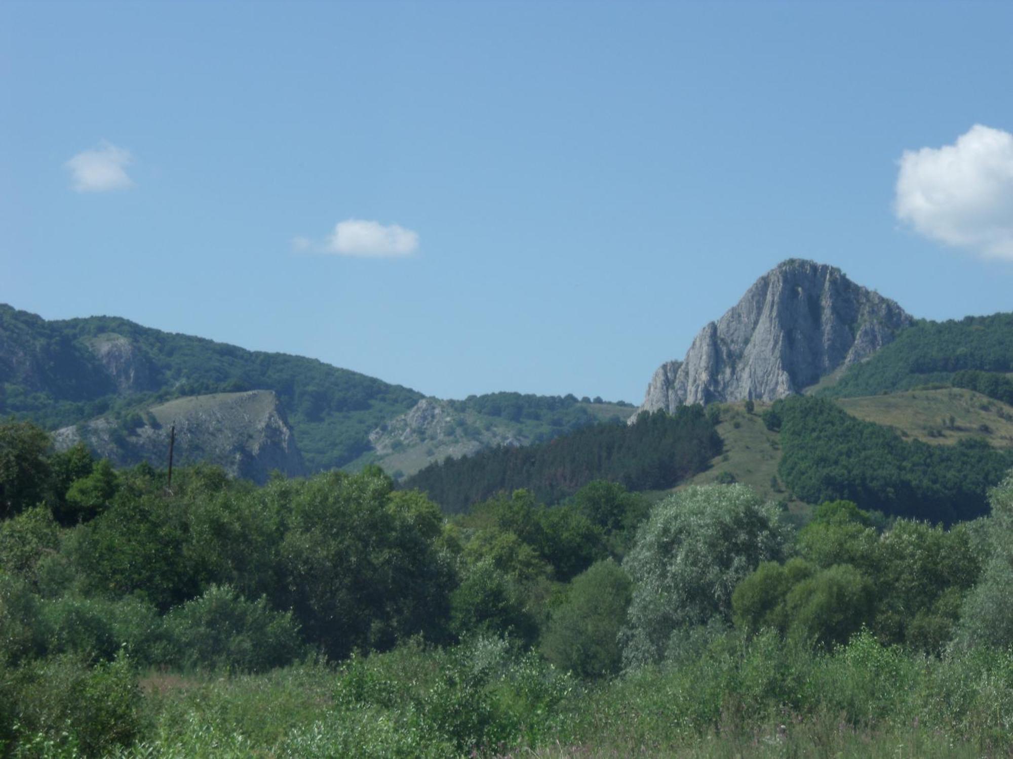 Studiouri * Vălişoara