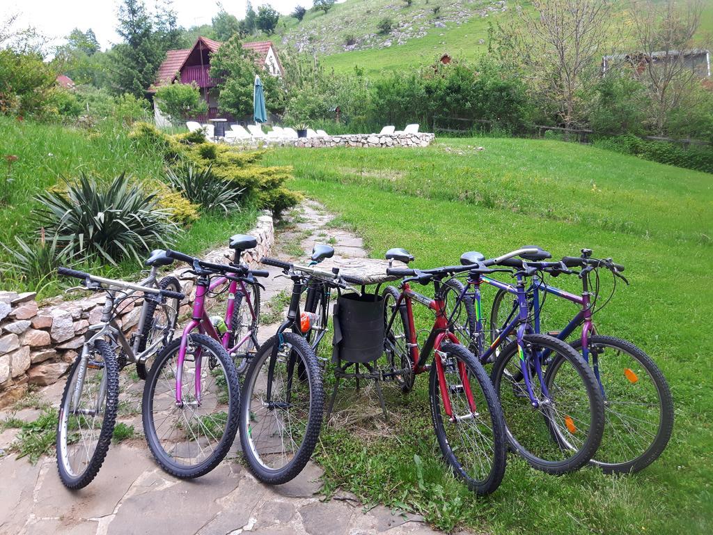 Studiouri Apartamento *
