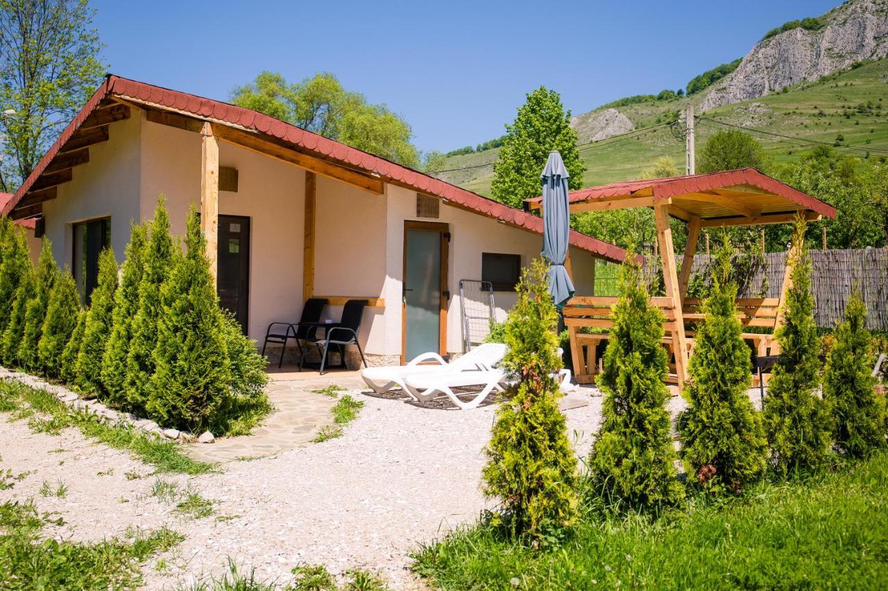 Studiouri Apartamento Vălişoara