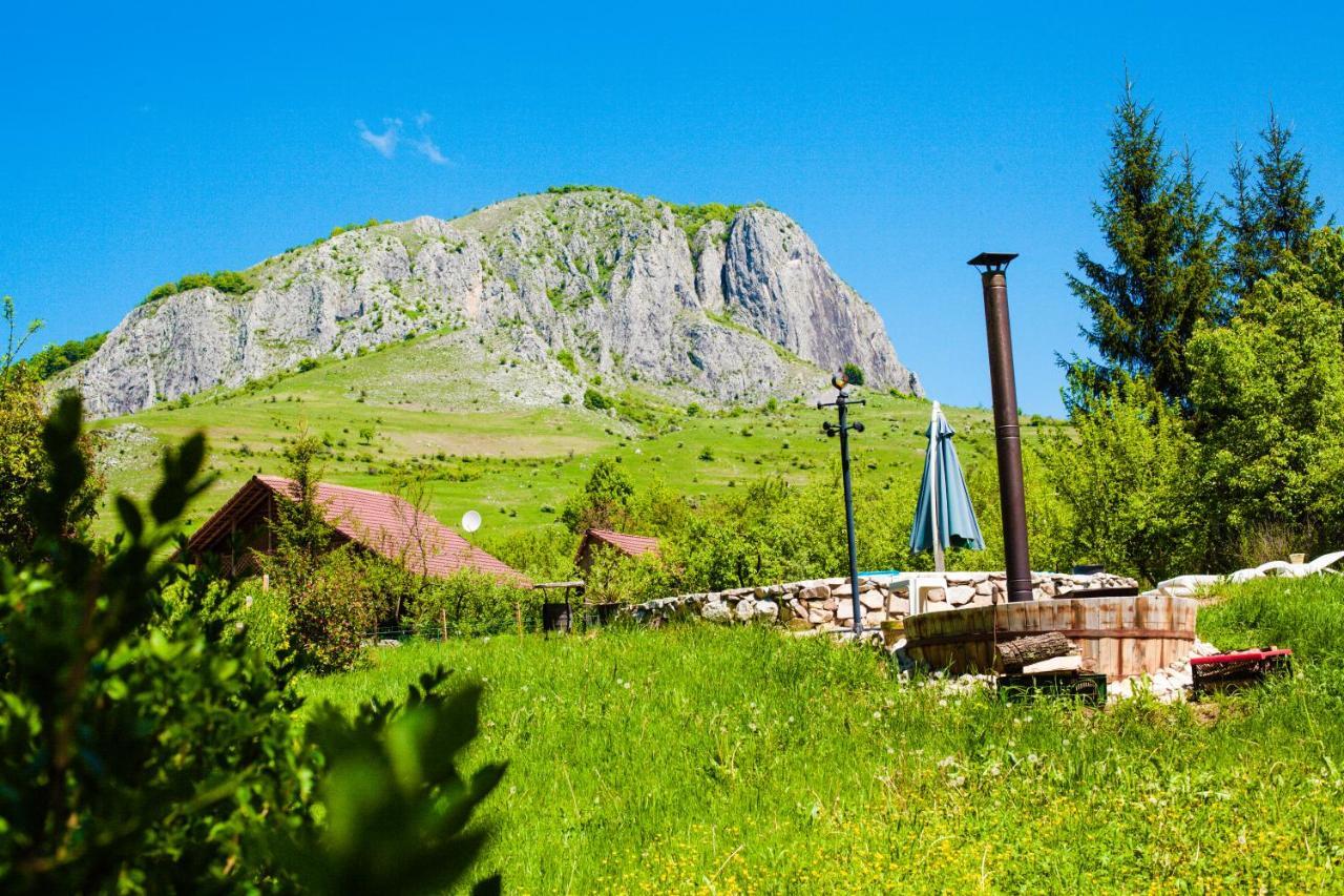 Studiouri * Vălişoara